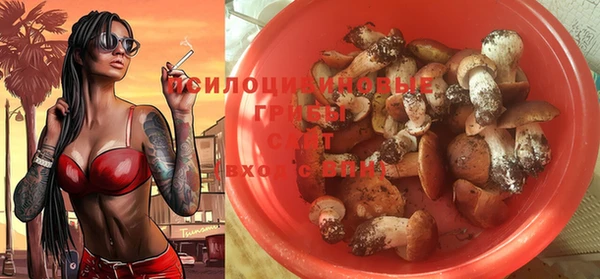 mix Бородино